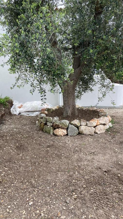 *Suite *Pozzo Dei Desideri Peschici Exterior foto